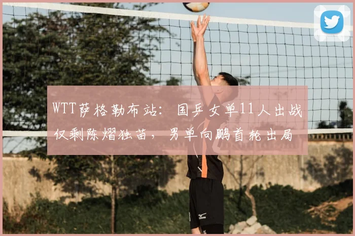 WTT萨格勒布站:国乒女单11人出战仅剩陈熠独苗,男单向鹏首轮出局,双打日韩占优
