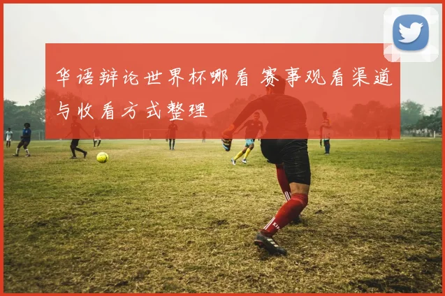 华语辩论世界杯哪看 赛事观看渠道与收看方式整理