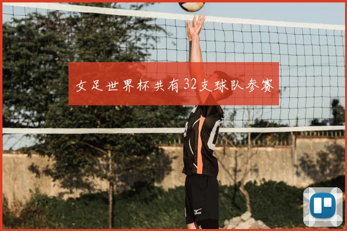 女足世界杯共有32支球队参赛