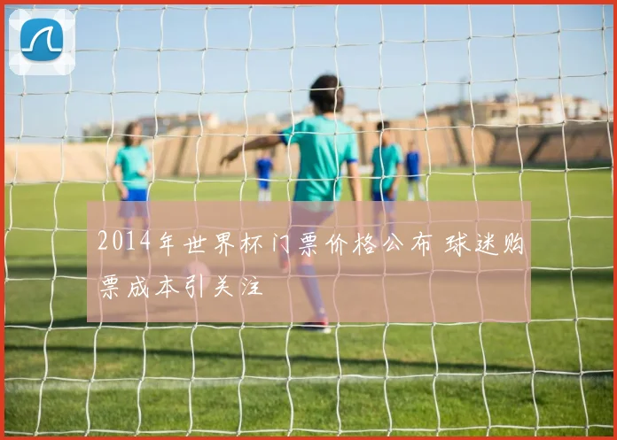 2014年世界杯门票价格公布 球迷购票成本引关注