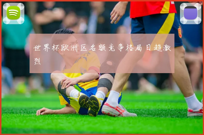 世界杯欧洲区名额竞争格局日趋激烈
